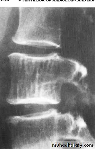 Practical muscloskeletal