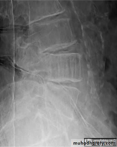 Practical muscloskeletal
