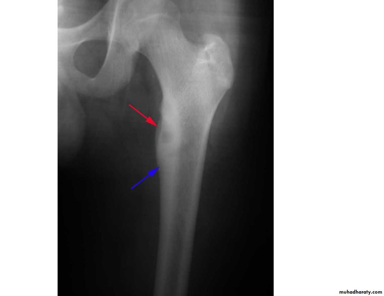 Practical muscloskeletal