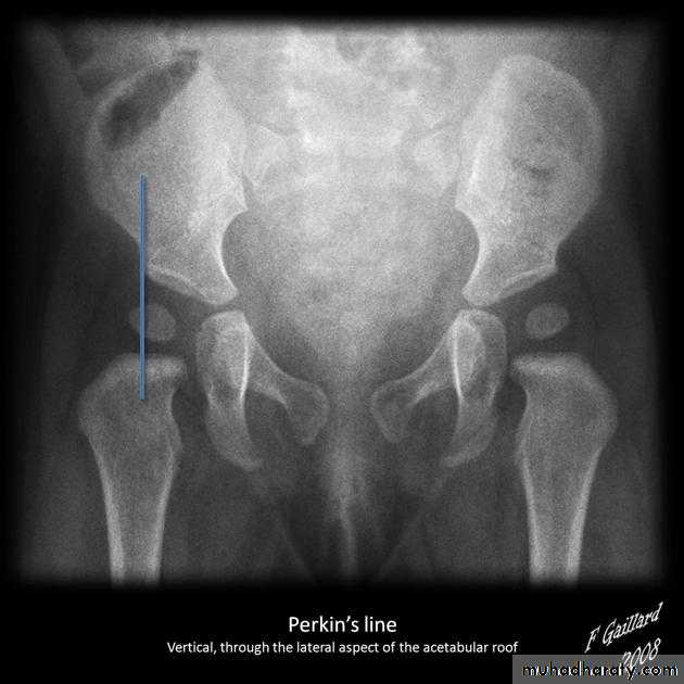 Practical muscloskeletal