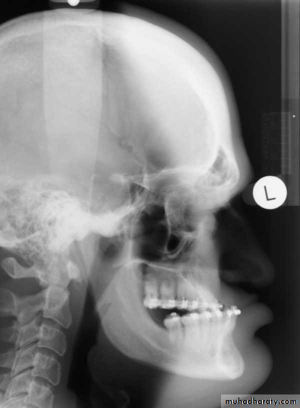 Practical muscloskeletal