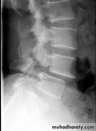 Practical muscloskeletal