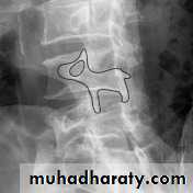 Practical muscloskeletal