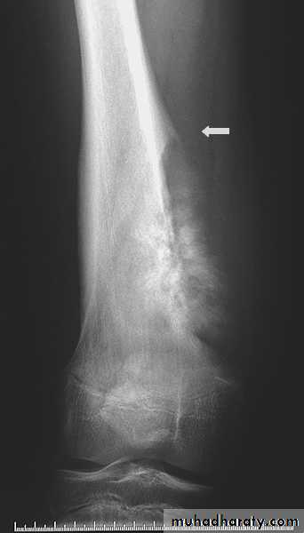 Practical muscloskeletal
