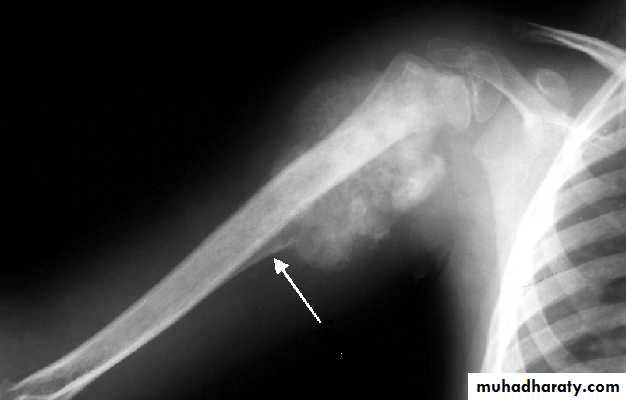 Practical muscloskeletal