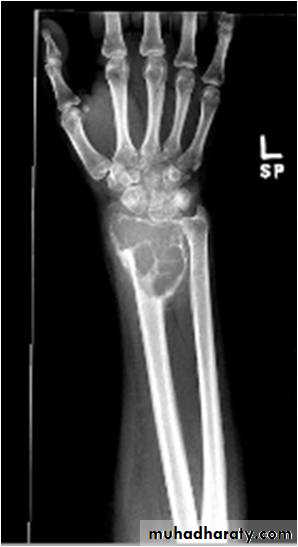 Practical muscloskeletal