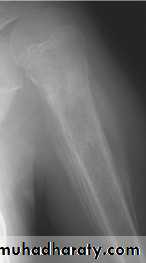 Practical muscloskeletal
