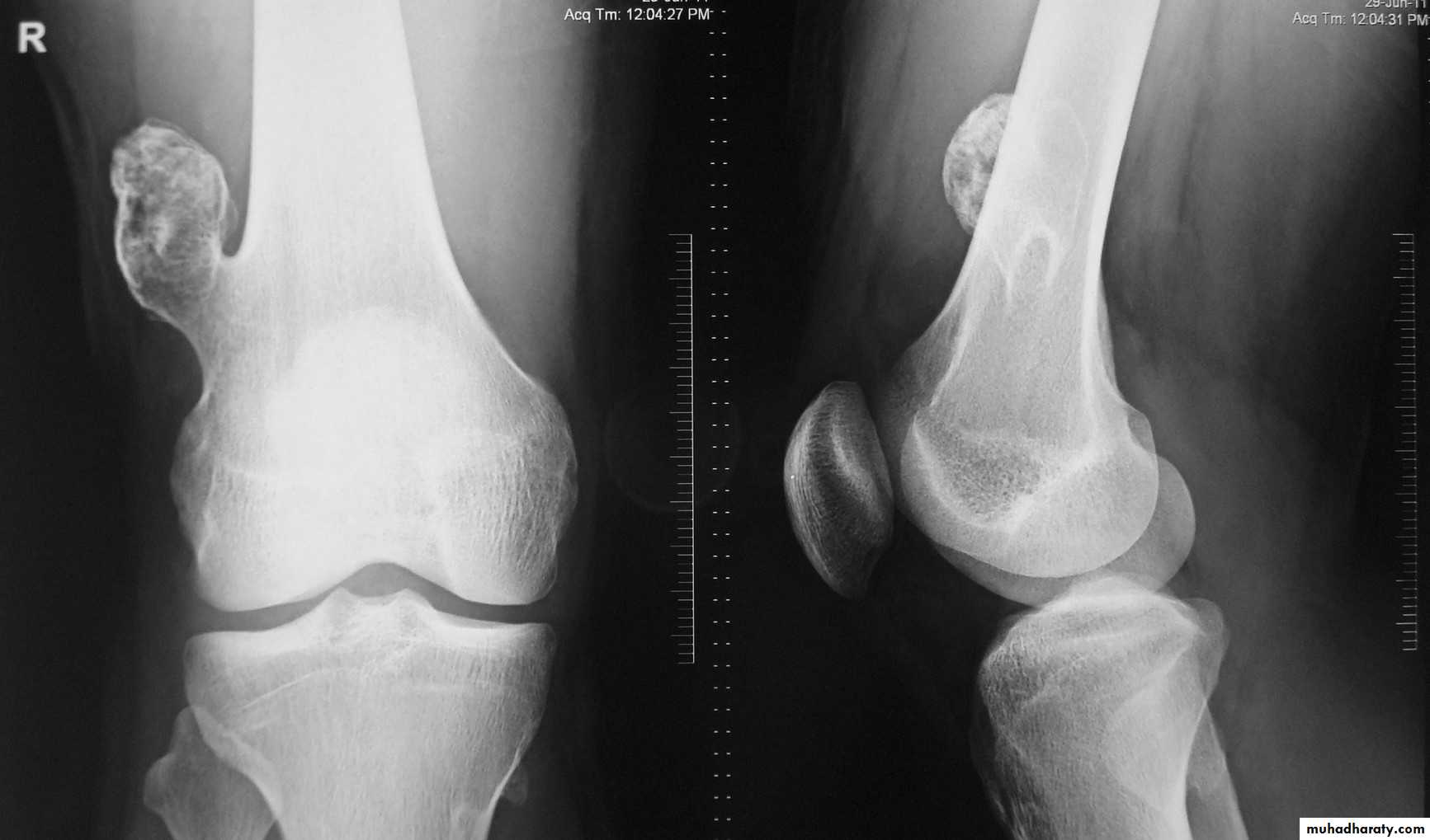 Practical muscloskeletal