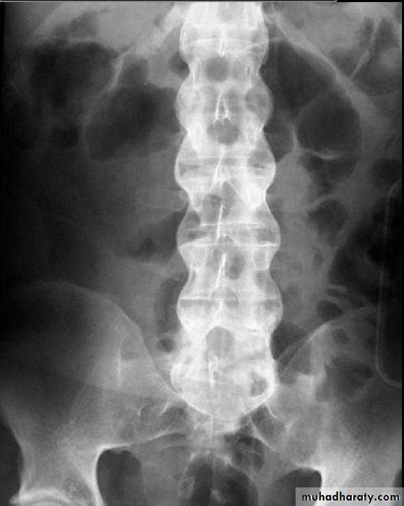 Practical muscloskeletal