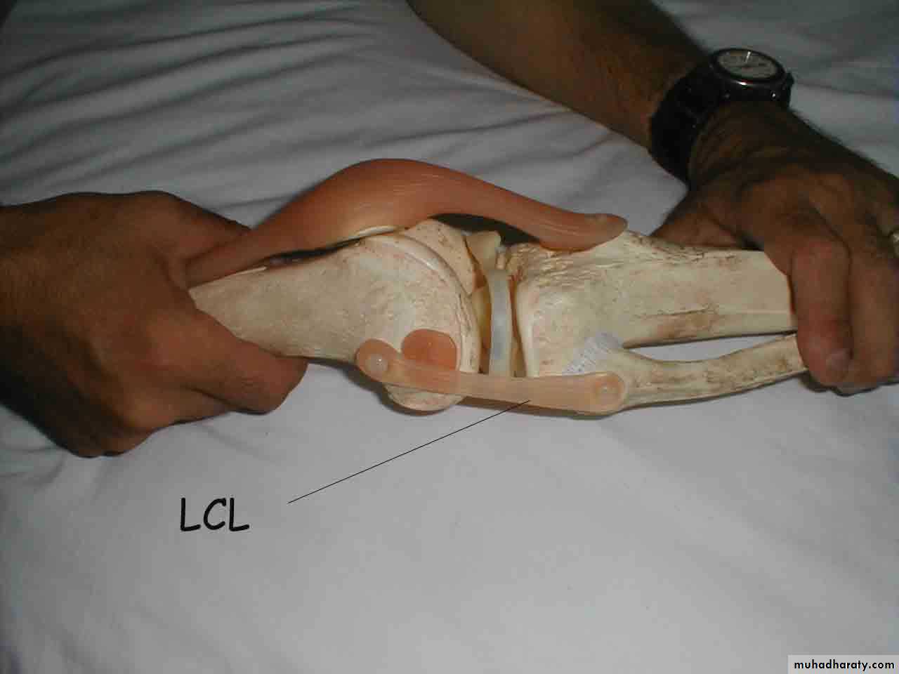 Practical sessions