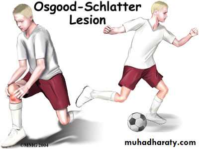 Practical sessions