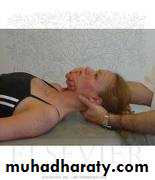Practical sessions