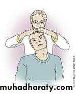Practical sessions