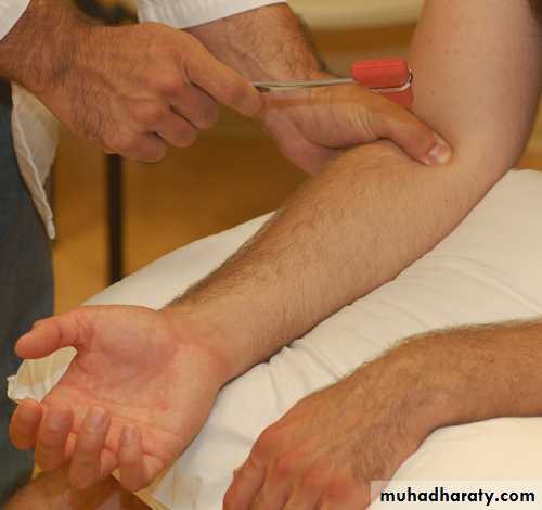 Practical sessions