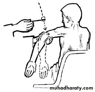 Practical sessions
