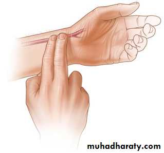 Practical sessions