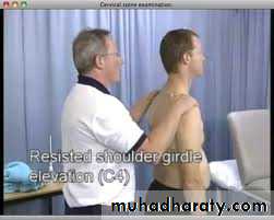 Practical sessions