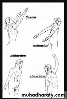 Practical sessions