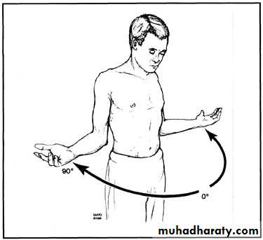 Practical sessions