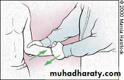 Practical sessions