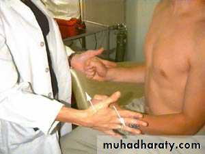 Practical sessions