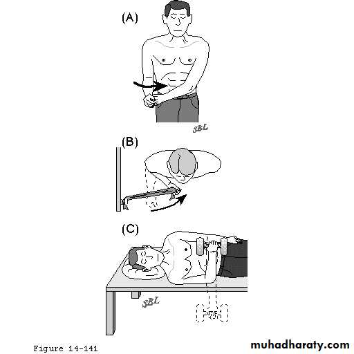 Practical sessions