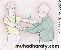 Practical sessions