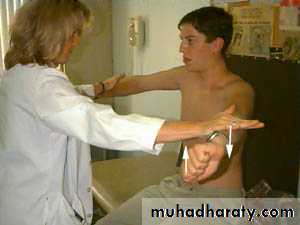 Practical sessions
