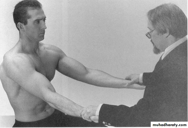 Practical sessions