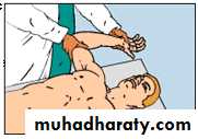 Practical sessions