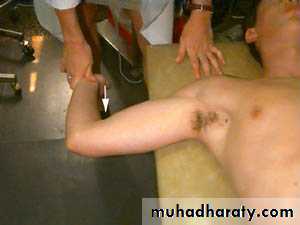Practical sessions
