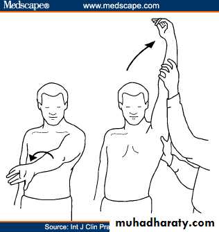 Practical sessions