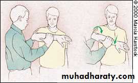 Practical sessions