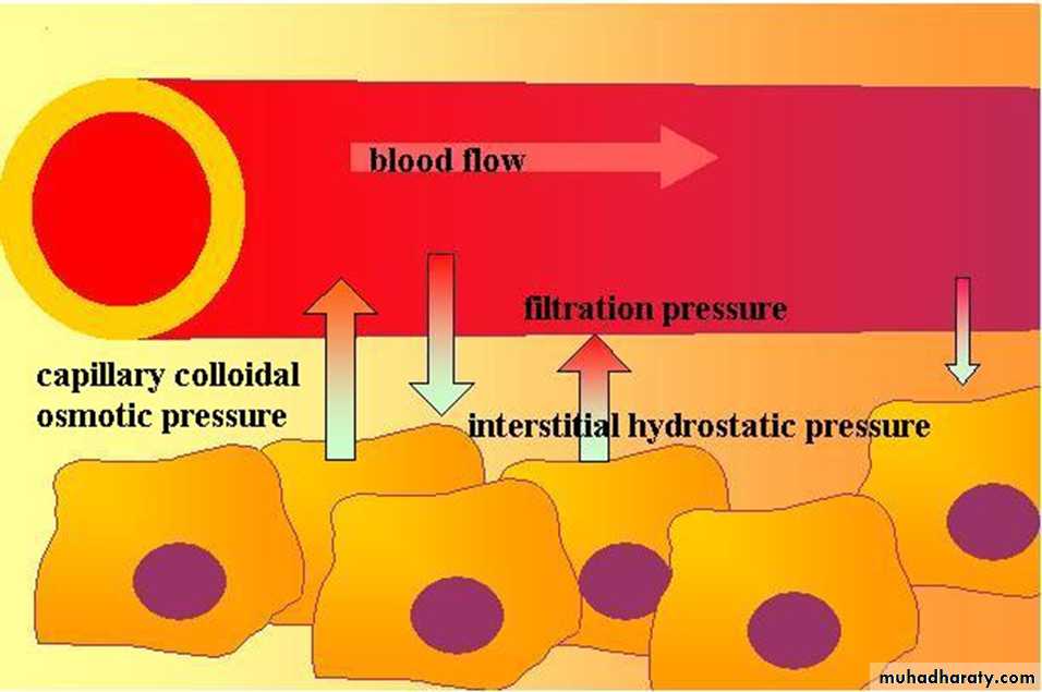 Body fluids