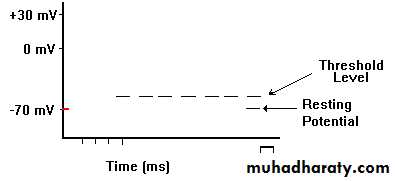 Physiology of the nerve