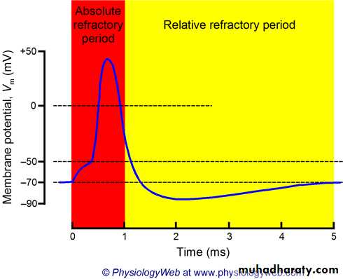 Physiology of the nerve
