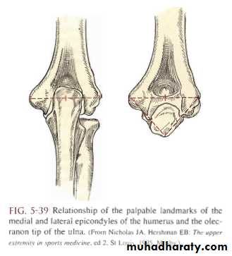 The Elbow