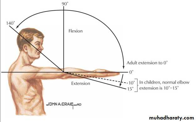 The Elbow
