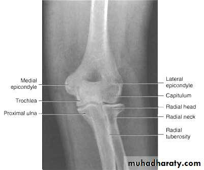 The Elbow