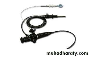 The larynx