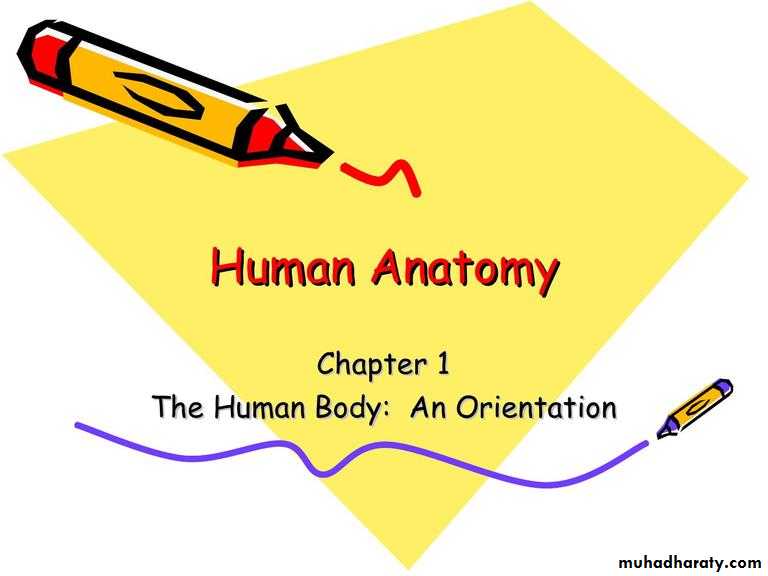 Intro lecture 1