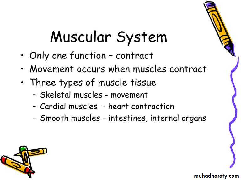 Intro lecture 1