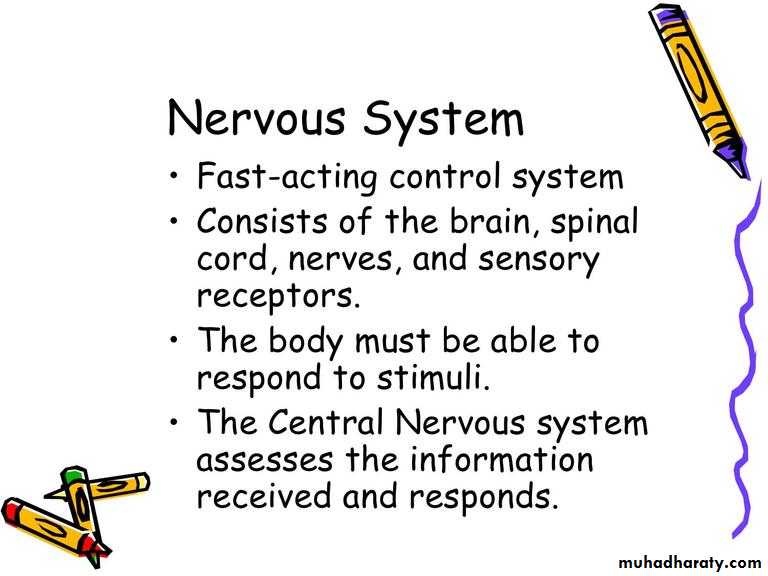 Intro lecture 1