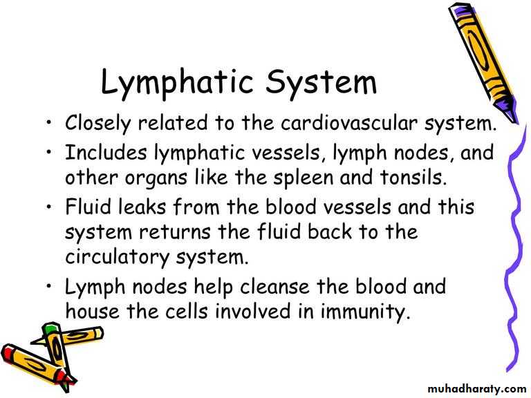 Intro lecture 1