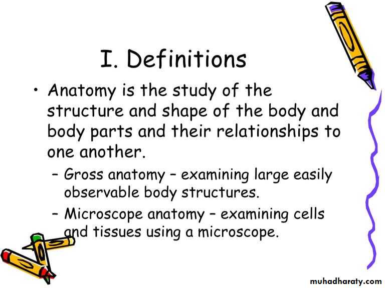 Intro lecture 1