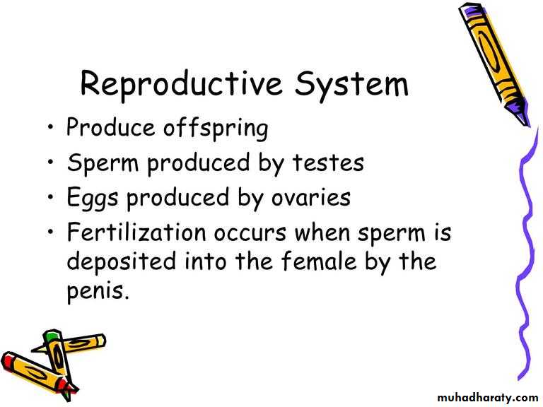 Intro lecture 1