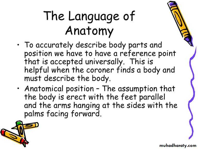 Intro lecture 1