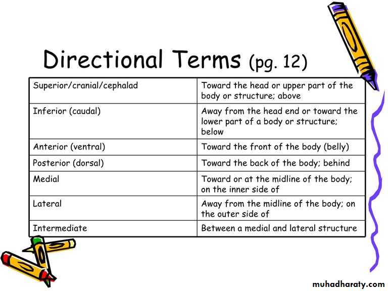 Intro lecture 1
