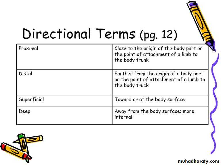 Intro lecture 1