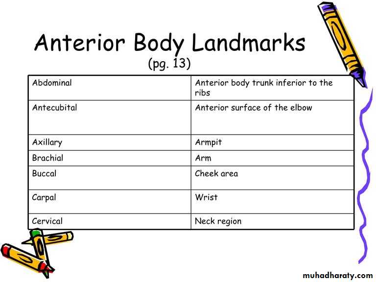 Intro lecture 1